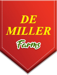 Logo of DEMILLER INDUSTRIES LIMITED